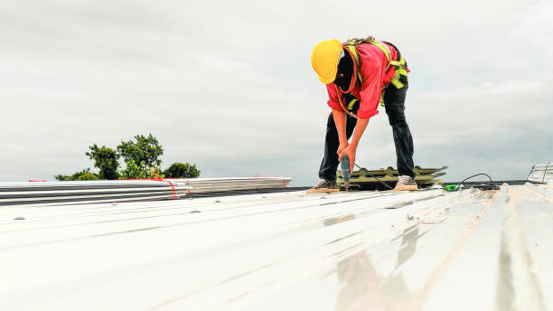 Best Solar Panel Roofing Installation  in Westmere, NY